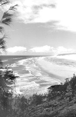 Beach along the east coast of Australia. Photos: Schatz