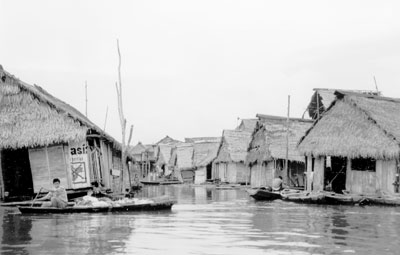 On the edge of the city of Iquitos, Peru, is the floating city of Belen. The houses are built on logs and attached to tall poles and rise and fall with the river. Photos: Jacobson