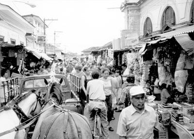 Our horse carriage takes us through the crowded streets of Granada’s markets. Photo: Spears