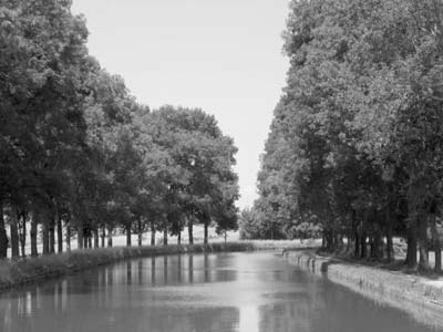 View from our barge in France. Photo: Mueden.