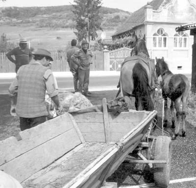 We saw horse-drawn wagons like this everywhere in Romania. Photo: Welsh