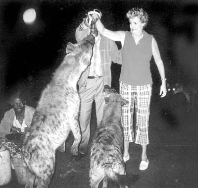 The eyes of another hyena approaching behind Paula reflect the strobe’s light.