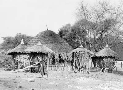 Traditional house with grain-storage units near Lake Nan, Ethiopia. Photo: Orton