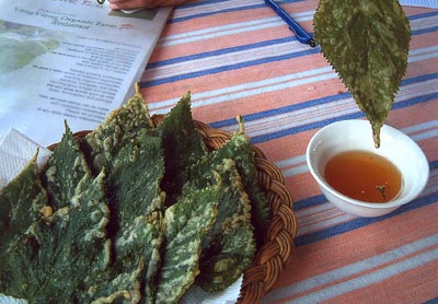 Fried mulberry leaves with honey-lemon dip is a healthy specialty of the Organic Farm in Vang Vieng.