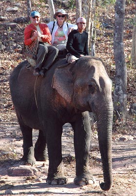 Richard and Pat Schally on an elephant safari.