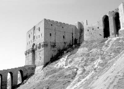 Looking up at the citadel in Aleppo, Syria. Photos: Kinney