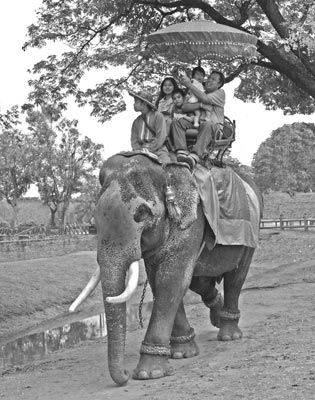 Families enjoy elephant rides at Ayutthaya. Photos: Bruck