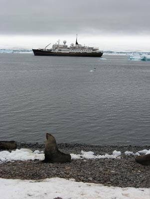 A fur seal on Antarctica’s Paulet Island “poses” with the M/S Andrea in the background. 