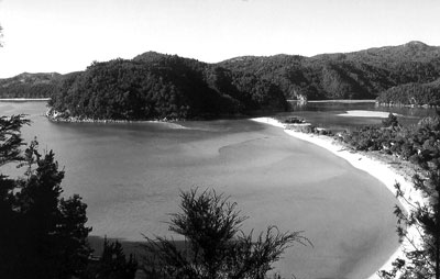 View from along the Abel Tasman Coast Track. Photo: Mullett