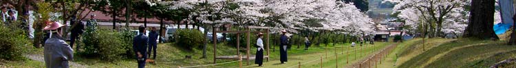 The yabusame course at Washibara Hachiman-gu shrine.