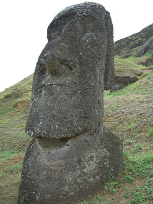 One of many moai that still remain at the quarry.