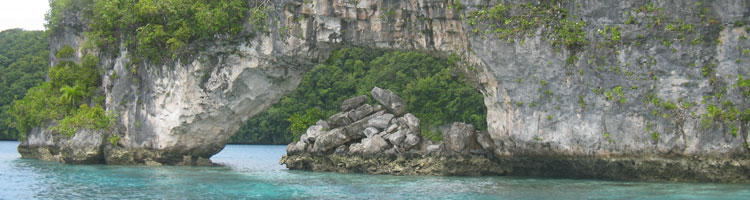 The limestone Rock Islands are undercut by the sea’s action, creating unique environments.