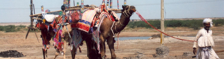 A local resident moves household belongings near Gondal.