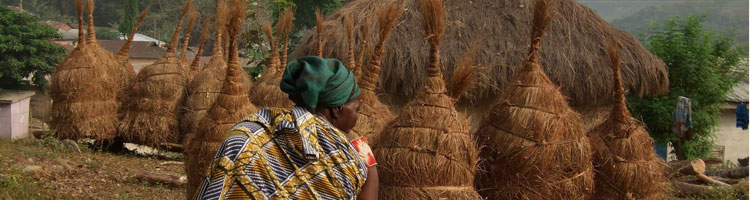 A resident passes bundles of thatch standing like sentinels in the mountain village of Biakpa.