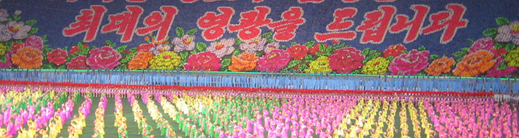 The Arirang Mass Games features performers in brightly colored costumes on the floor plus a changing, detailed background created by colored flip cards in the stands.