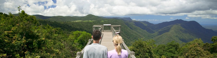 A view from Dorrigo National Park’s Skywalk. Photo courtesy of Coffs Coast Marketing