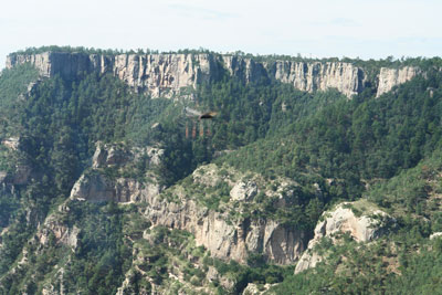 Part of Copper Canyon in the Tarahumara Mountains.
