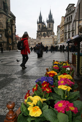 Prague’s Old Town Square was a nice place to walk through, and we returned there several times during our stay in the city.