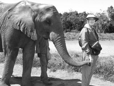 Maurice Black leading a young elephant at The Crags. 