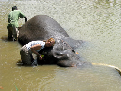 A dream come true — Teresa O’Kane bathing an elephant in a river in Sri Lanka on her 50th birthday.