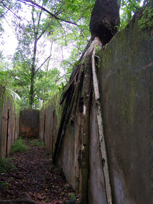 Solitary confinement area on St. Joseph’s Island, French Guiana.