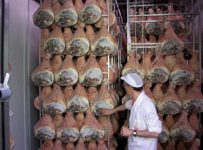 Learning about the art of producing prosciutto in Parma.