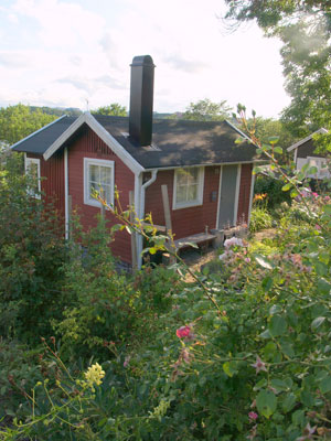 An allotment cottage surrounded by flowers.