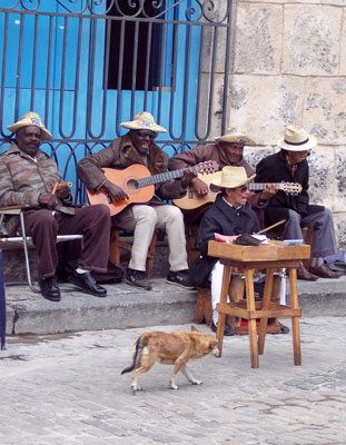 Street bands are common in Old Havana.