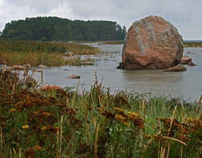 Jaani-Tooma Kivi is one of the largest boulders along the Boulder Walk in Lahamaa National Park, Estonia.