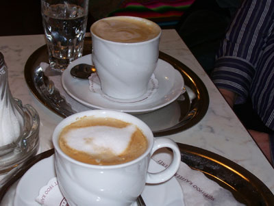 Viennese coffee with whipped milk, served to us at a café in Nussdorf.