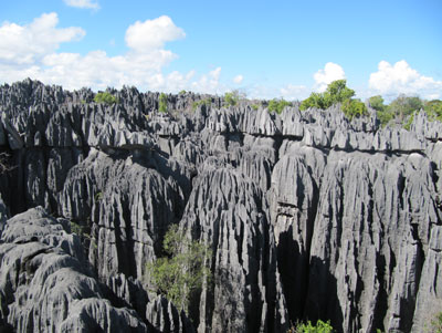 The jagged limestone karst formations of the Grand Tsingy.