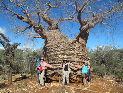 Nili Olay (center) and fellow tour group members ring a giant baobab tree in Tsimanampetsotsa National Park.