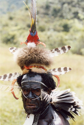 Village chieftain, West Papua, New Guinea. Photo: Howland