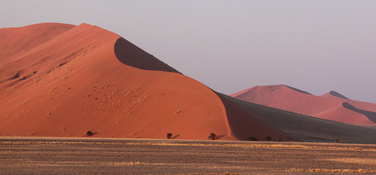 Red sand dunes of Sossusvlei in the early morning light.