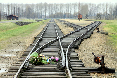 Inside the Gate of Death at Auschwitz II-Birkenau, the flowers on the tracks indicate where the ”selection“ took place.