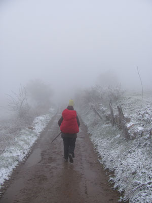 A snowy day on the Camino Francés. Photo by Scott Soper