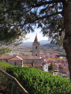 The view from atop a small hill along the Camino.