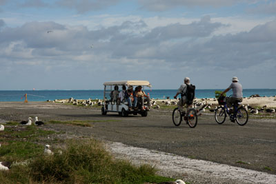 Visitors can explore Midway by stretch golf cart, bicycle, boat or on foot. Photo: Grantham