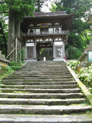 I really needed my sturdy walking shoes to make it up these steps to the Daisen-ji Temple complex.