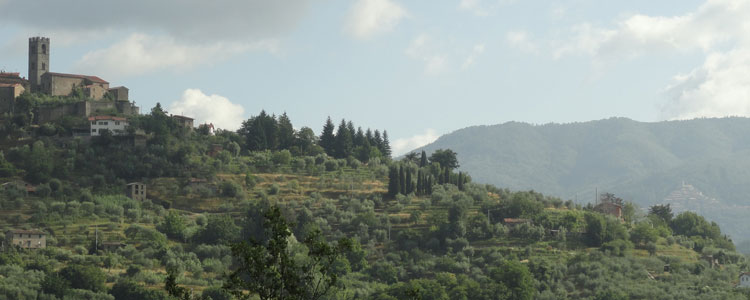 The village of San Quirico as seen from Casa Libra. Photo by Jay Hungate