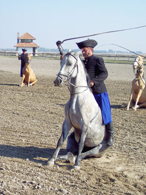 A csikós performs at Bakodpuszta horse farm in Kalocsa, Hungary.