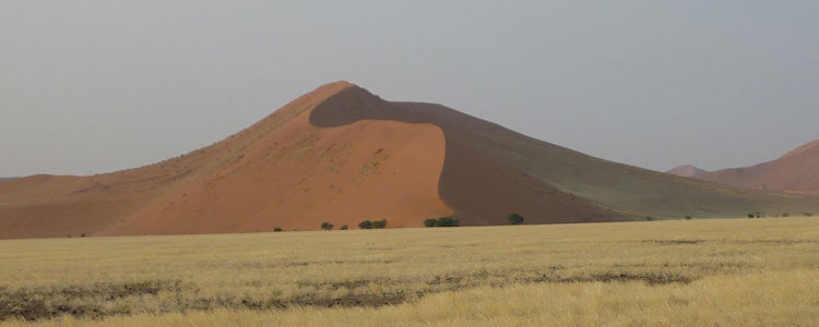 One of the many beautiful sand dunes in Sossusvlei, Namibia.