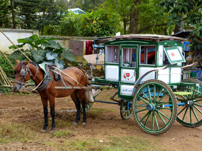One of Maymyo’s horse-drawn miniature carriages.