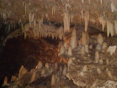 Rounded stalagmites and more pointy stalactites in Harrison’s Cave — Barbados. Photo: VanDewark