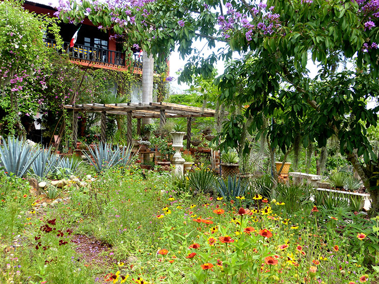 Hacienda de Oro visitors' center and restaurant is at the heart of the gardens. Photos by Yvonne Michie Horn.