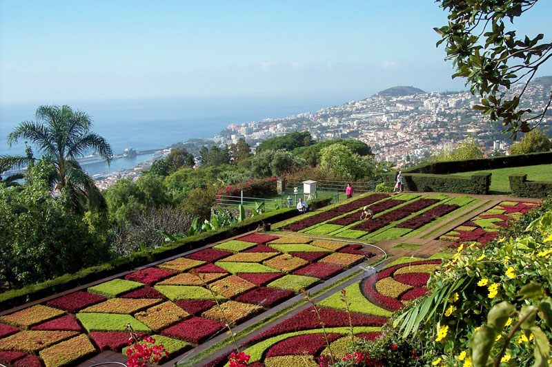 Enjoy sweeping views of Funchal from the Botanical Gardens. Photos by Randy Keck