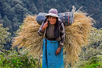 A woman carrying straw down a road in the Bumthang area.
