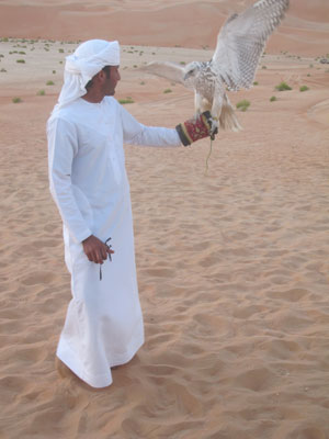 An exhibition of falconry, part of the falcon and Saluki dog show ($80 per person), made for an interesting excursion.