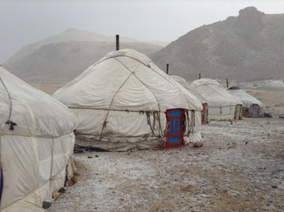 A ger camp near Tavan Bogd in western Mongolia. Photo by Jo Campe
