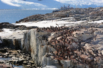 Morning on penguin-filled Petermann Island.